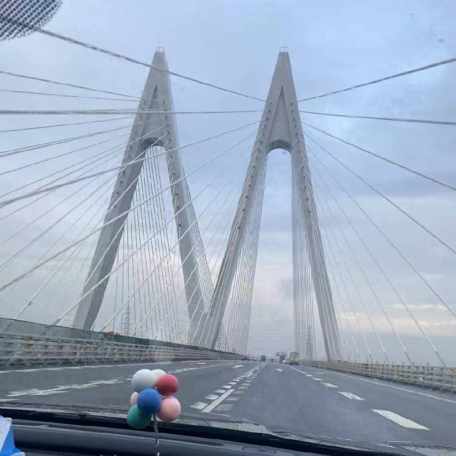 追梦菇凉